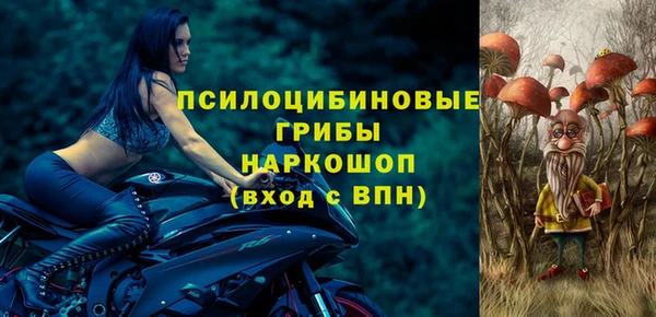 спиды Алзамай